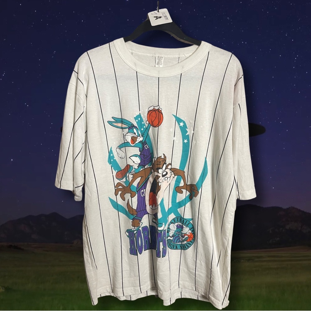 90’s looney tunes bugs bunny & taz hornets basketball 🏀